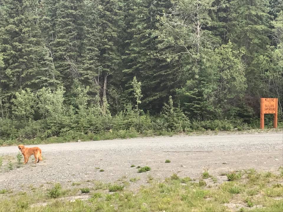 Floating the Gulkana River Gulkana Guest Cabin