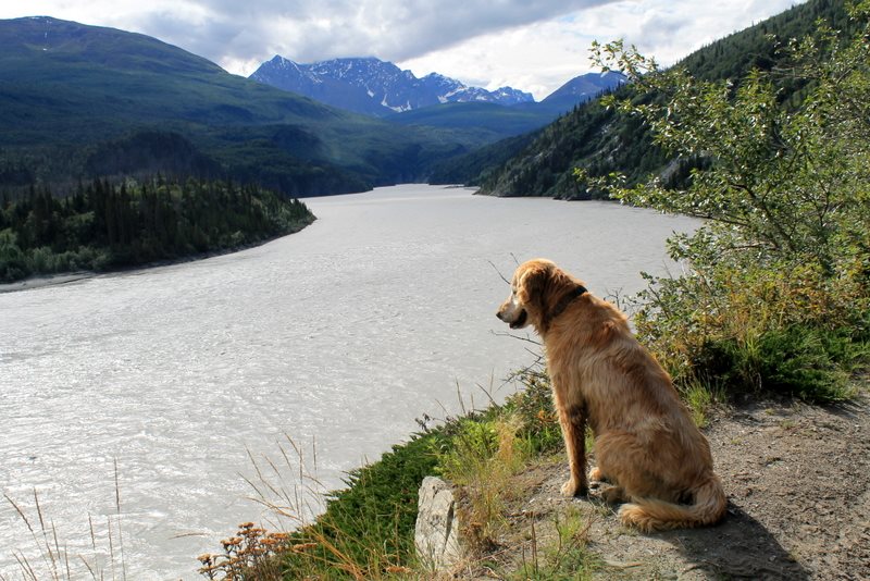 Hikes in the Copper River&nbsp;Valley